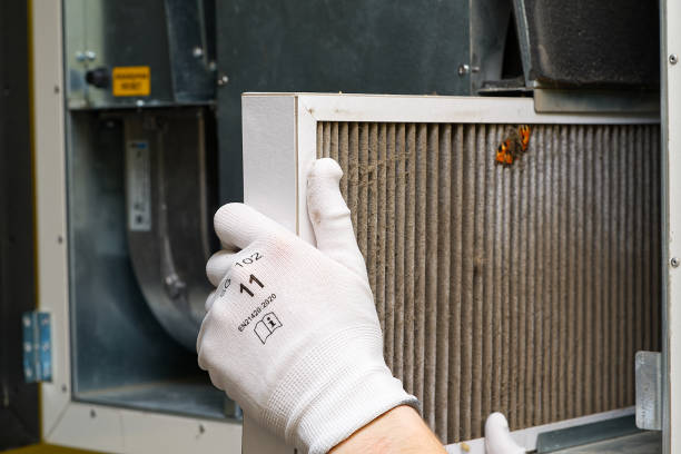 Best Affordable Air Duct Cleaning  in Citrus Park, FL