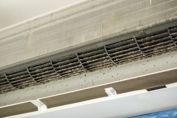 Best Air Duct Cleaning Near Me  in Citrus Park, FL