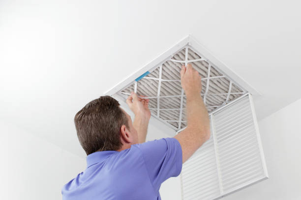 HVAC System Cleaning in Citrus Park, FL